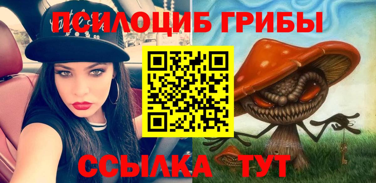 Галлюциногенные грибы MAGIC MUSHROOMS  Галлюциногенные грибы Psilocybine cubensis  Вход с VPN  Бузулук 