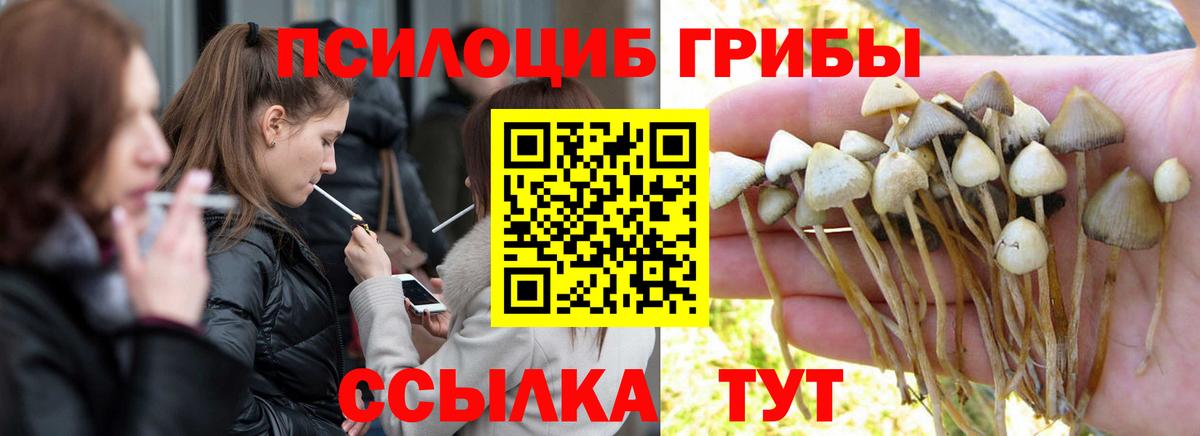 Галлюциногенные грибы ЛСД Бузулук
